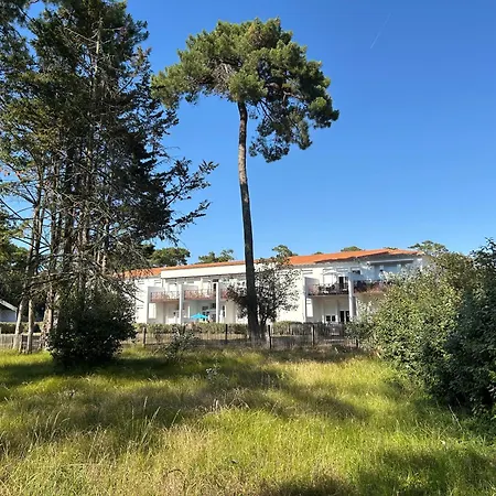 L'escale Dans Les Pins